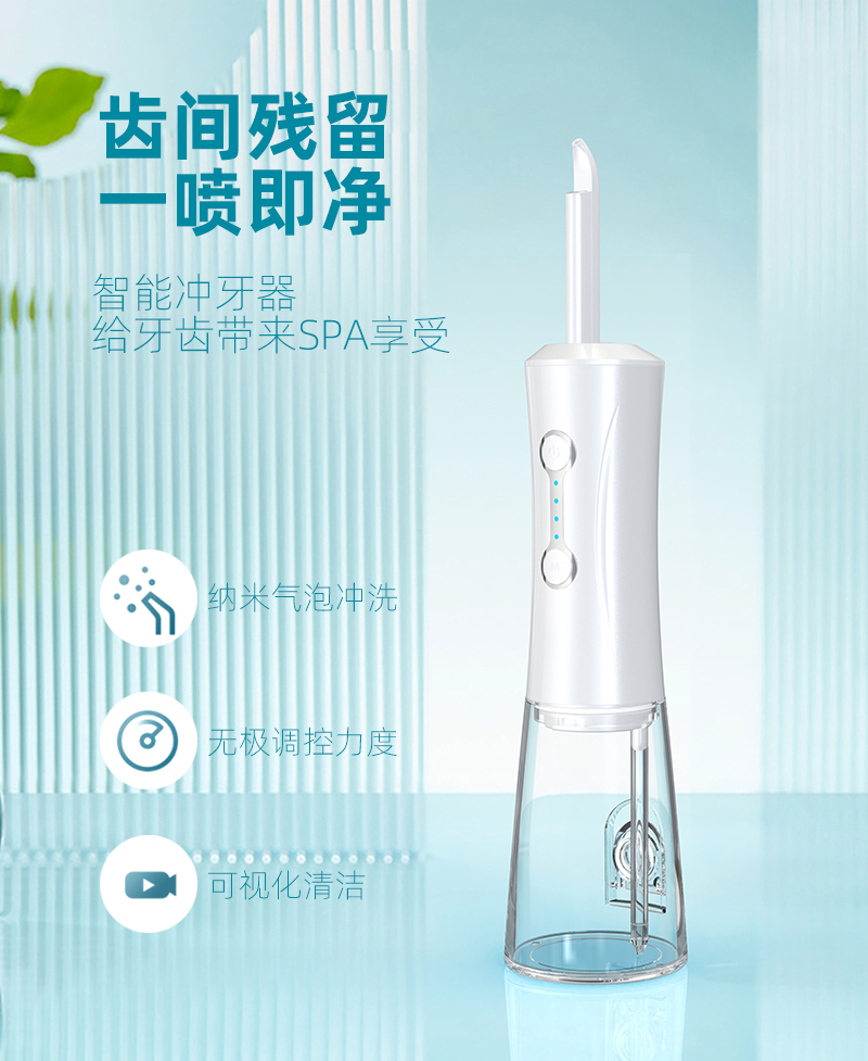 Private model visual dental irrigator pr